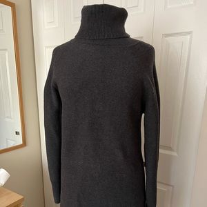 Aritzia Wilfred Free turtleneck sweater dress